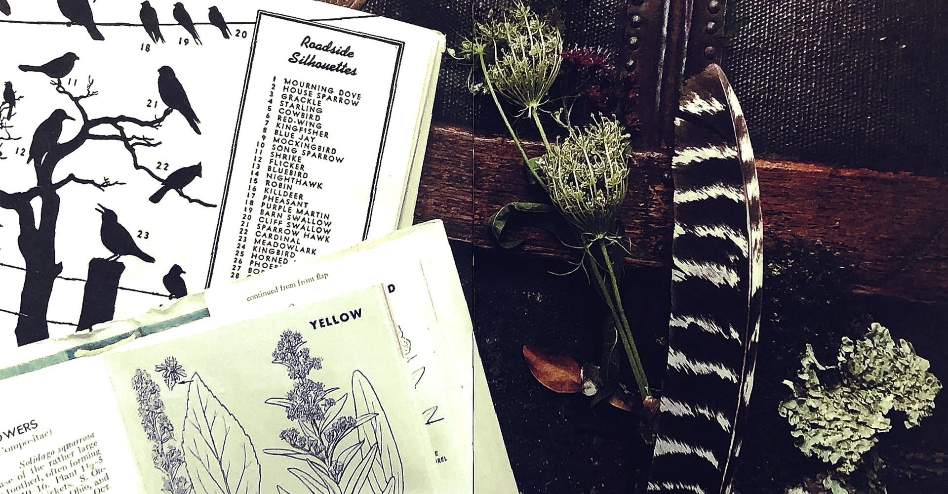 book-do-something-new-coworking-Bristol