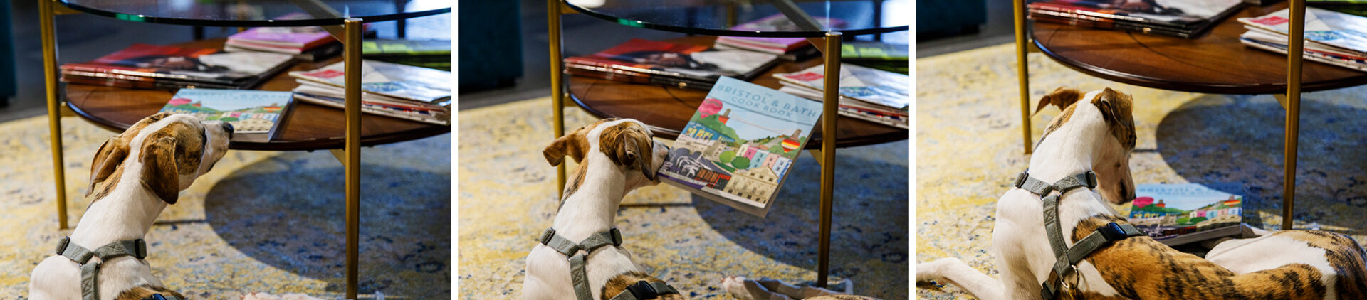 Sarah-Archer-gather-round-cigar-factory-coworking-Bristol-Southville