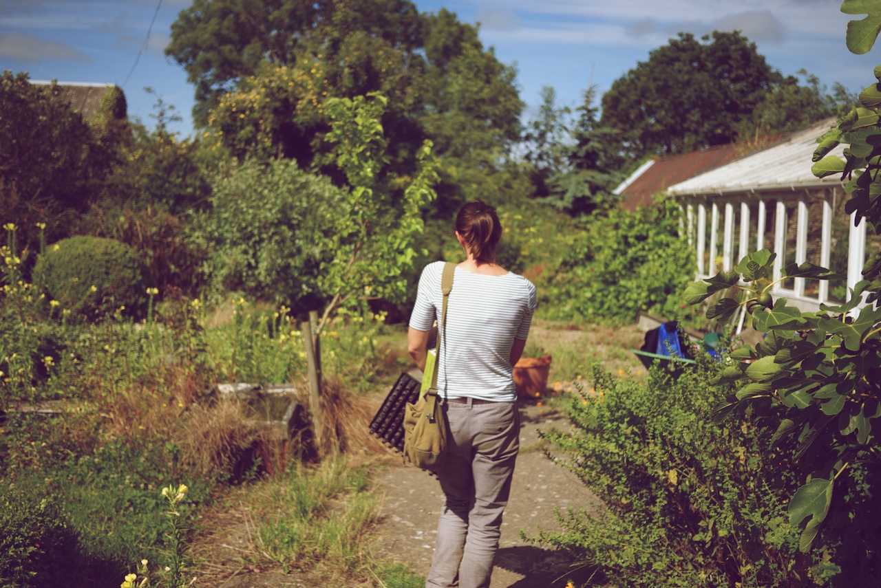 do-something-new-2-grow-your-own-veg