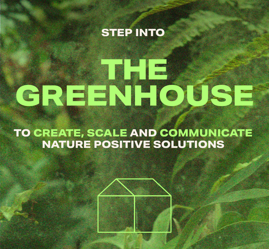 Nature-positive-coworking-member-cigar-factory-southville-creative